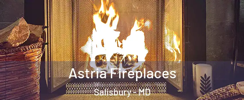  Astria Fireplaces Salisbury - MD