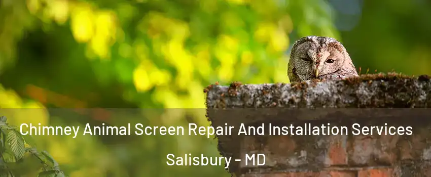  Chimney Animal Screen Repair And Installation Services Salisbury - MD