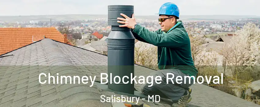  Chimney Blockage Removal Salisbury - MD