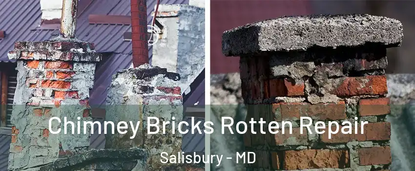  Chimney Bricks Rotten Repair Salisbury - MD