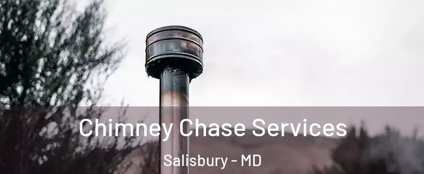  Chimney Chase Services Salisbury - MD