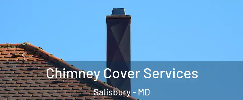  Chimney Cover Services Salisbury - MD