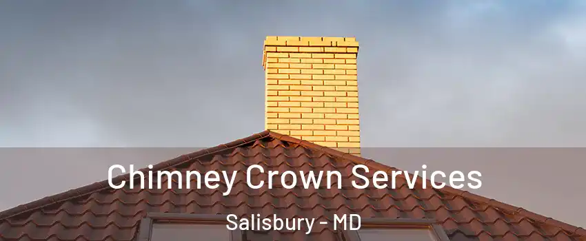 Chimney Crown Services Salisbury - MD