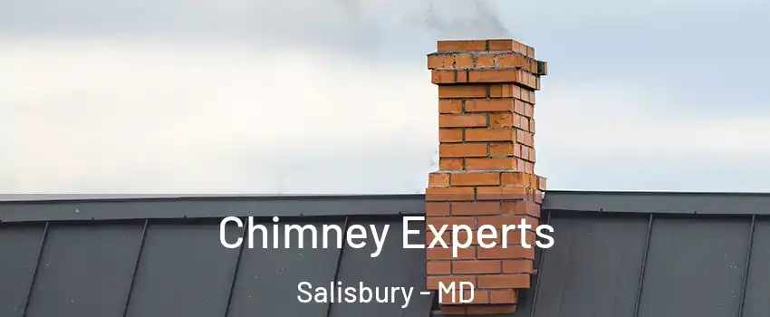Chimney Experts Salisbury - MD