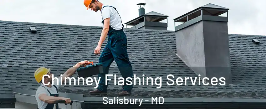 Chimney Flashing Services Salisbury - MD