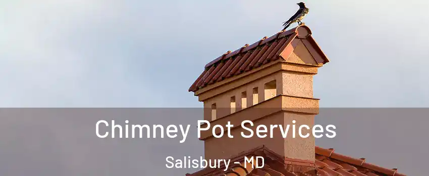  Chimney Pot Services Salisbury - MD