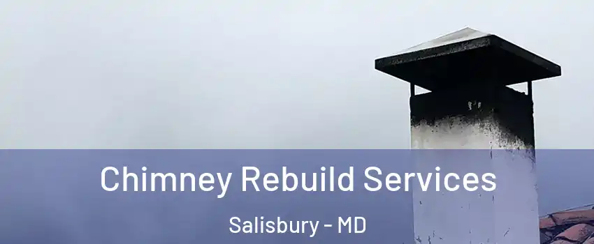  Chimney Rebuild Services Salisbury - MD