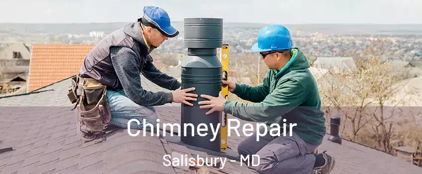  Chimney Repair Salisbury - MD