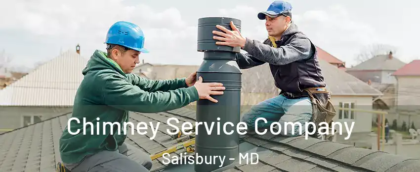  Chimney Service Company Salisbury - MD