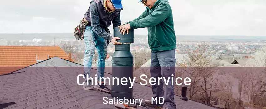  Chimney Service Salisbury - MD