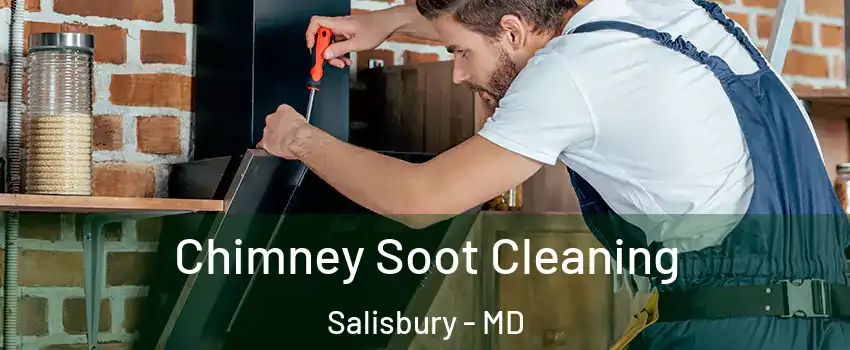 Chimney Soot Cleaning Salisbury - MD