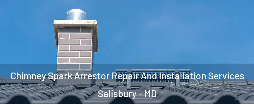  Chimney Spark Arrestor Repair And Installation Services Salisbury - MD