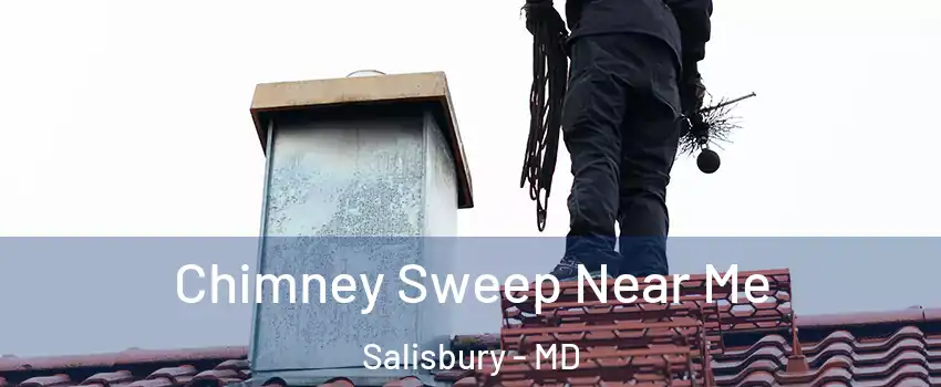  Chimney Sweep Near Me Salisbury - MD