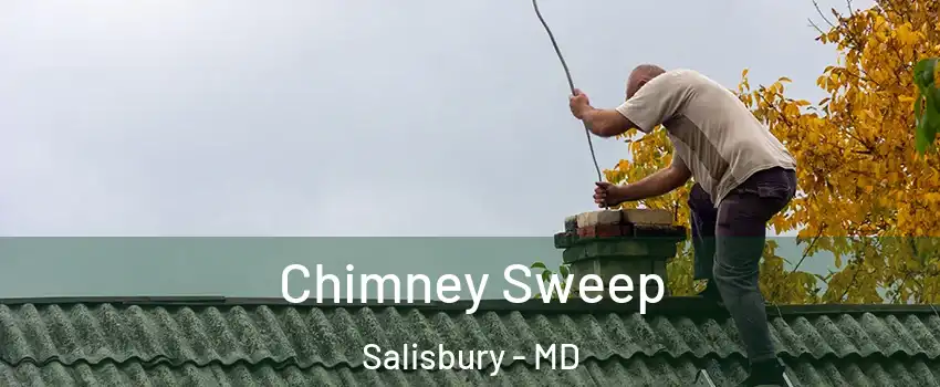  Chimney Sweep Salisbury - MD