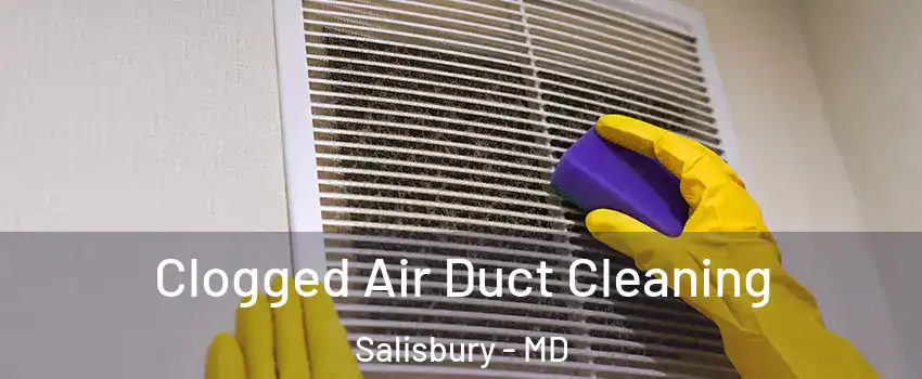  Clogged Air Duct Cleaning Salisbury - MD