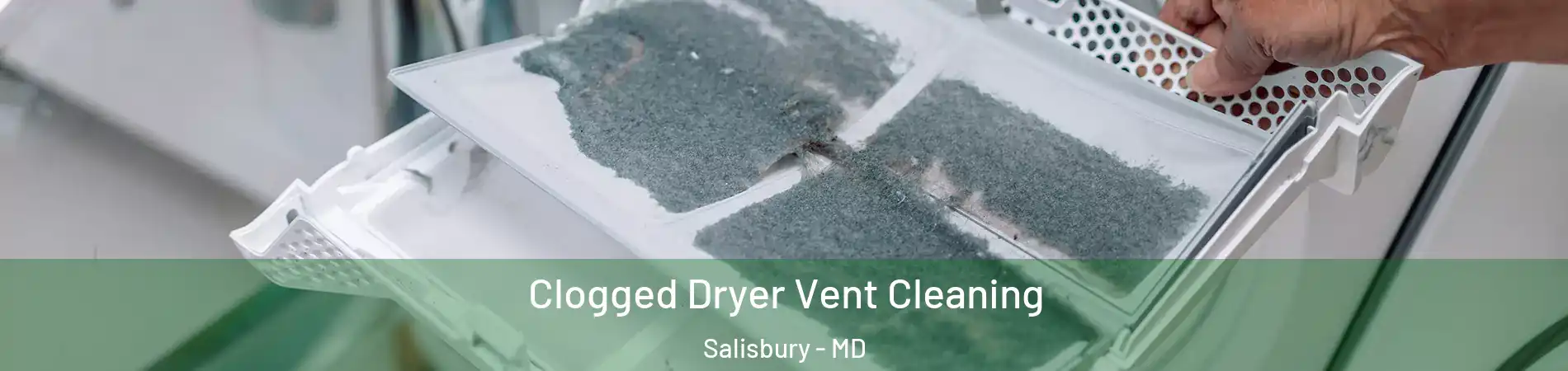  Clogged Dryer Vent Cleaning Salisbury - MD