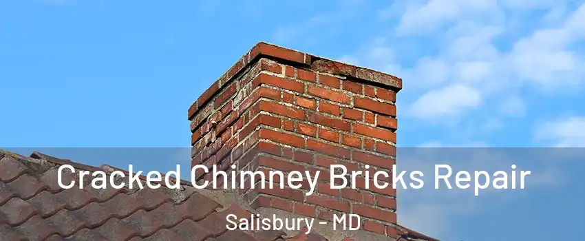  Cracked Chimney Bricks Repair Salisbury - MD