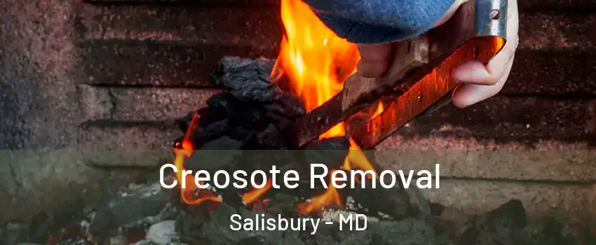  Creosote Removal Salisbury - MD