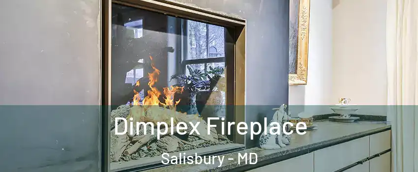  Dimplex Fireplace Salisbury - MD