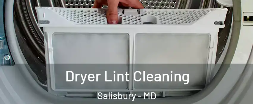  Dryer Lint Cleaning Salisbury - MD