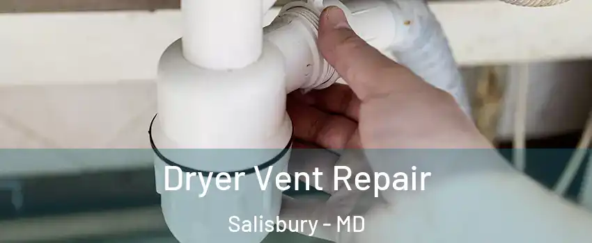  Dryer Vent Repair Salisbury - MD