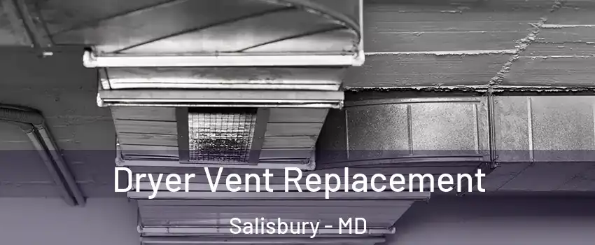  Dryer Vent Replacement Salisbury - MD