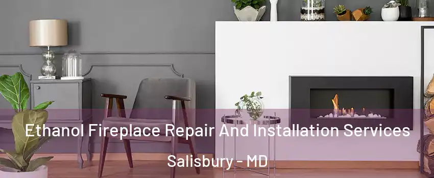  Ethanol Fireplace Repair And Installation Services Salisbury - MD