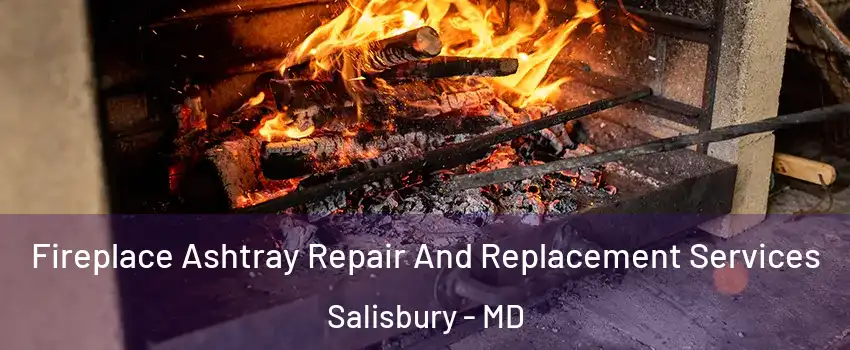  Fireplace Ashtray Repair And Replacement Services Salisbury - MD