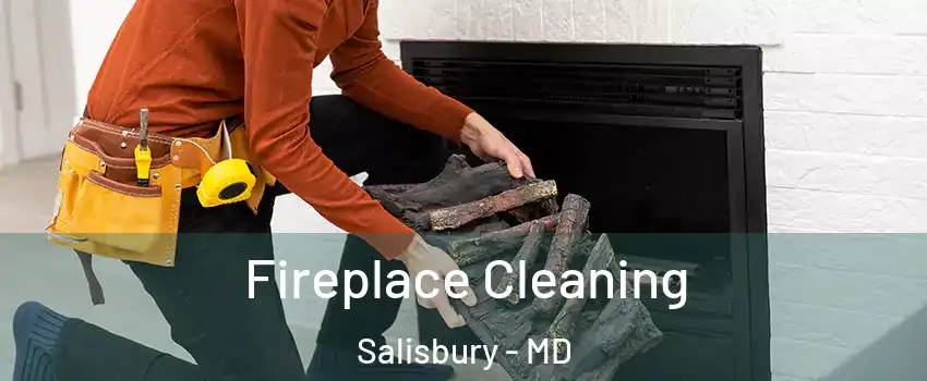  Fireplace Cleaning Salisbury - MD