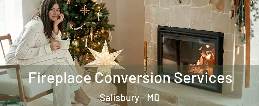  Fireplace Conversion Services Salisbury - MD