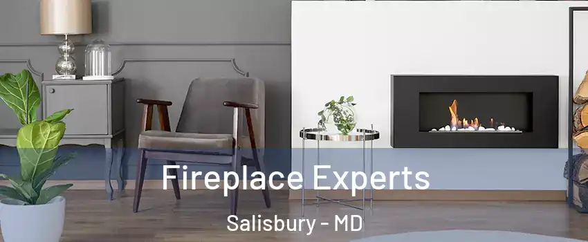  Fireplace Experts Salisbury - MD