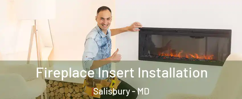  Fireplace Insert Installation Salisbury - MD