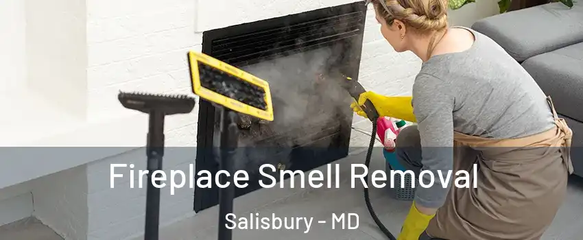  Fireplace Smell Removal Salisbury - MD