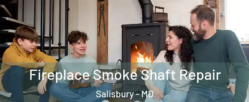  Fireplace Smoke Shaft Repair Salisbury - MD