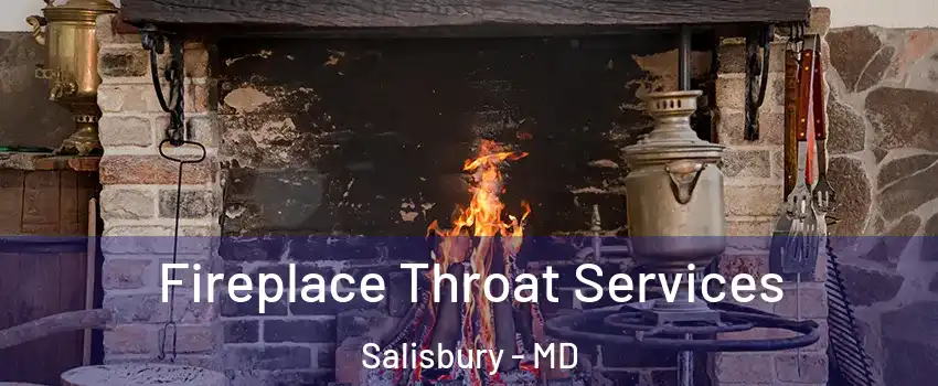  Fireplace Throat Services Salisbury - MD