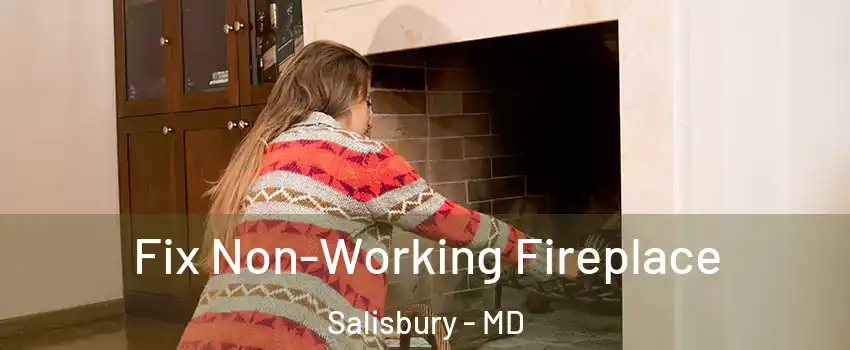  Fix Non-Working Fireplace Salisbury - MD