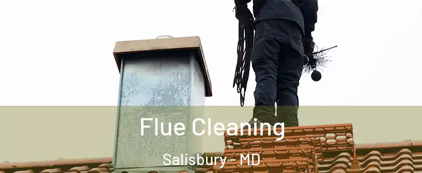  Flue Cleaning Salisbury - MD
