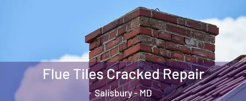  Flue Tiles Cracked Repair Salisbury - MD