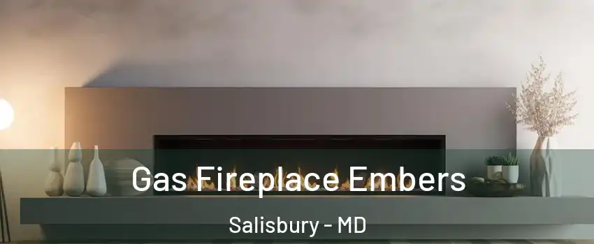  Gas Fireplace Embers Salisbury - MD