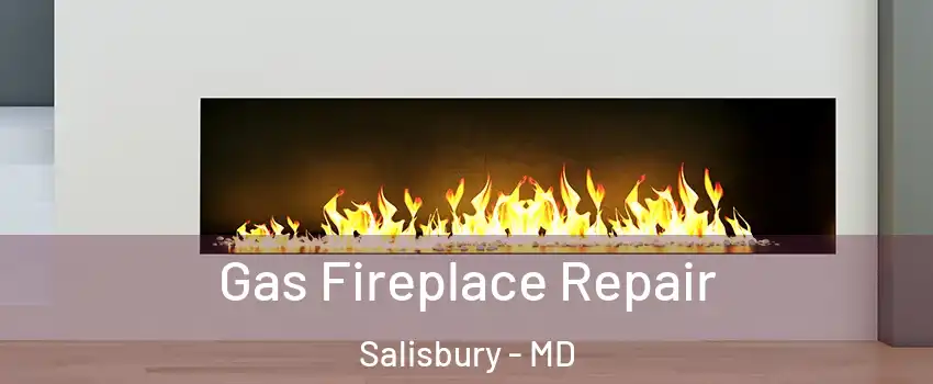  Gas Fireplace Repair Salisbury - MD