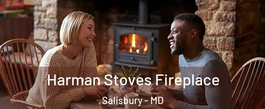  Harman Stoves Fireplace Salisbury - MD