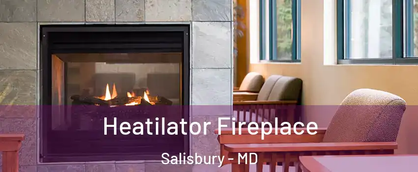  Heatilator Fireplace Salisbury - MD