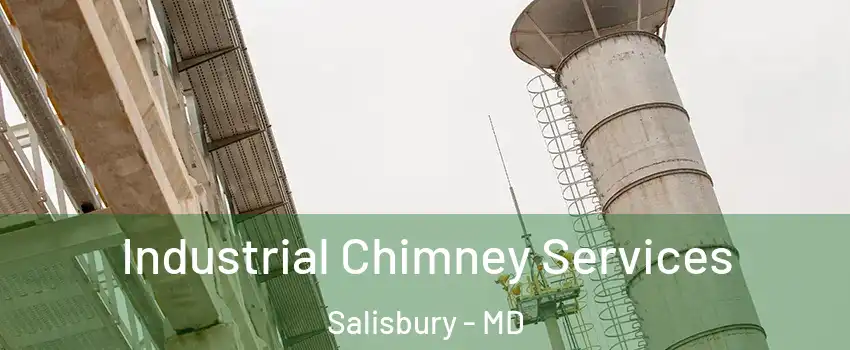  Industrial Chimney Services Salisbury - MD