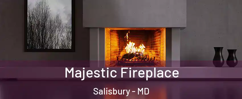  Majestic Fireplace Salisbury - MD
