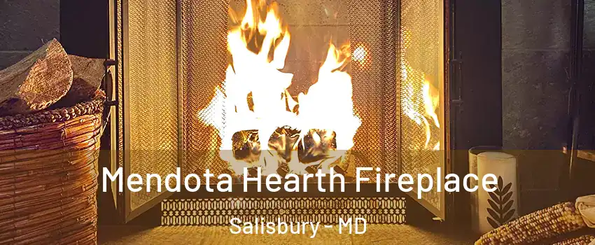  Mendota Hearth Fireplace Salisbury - MD