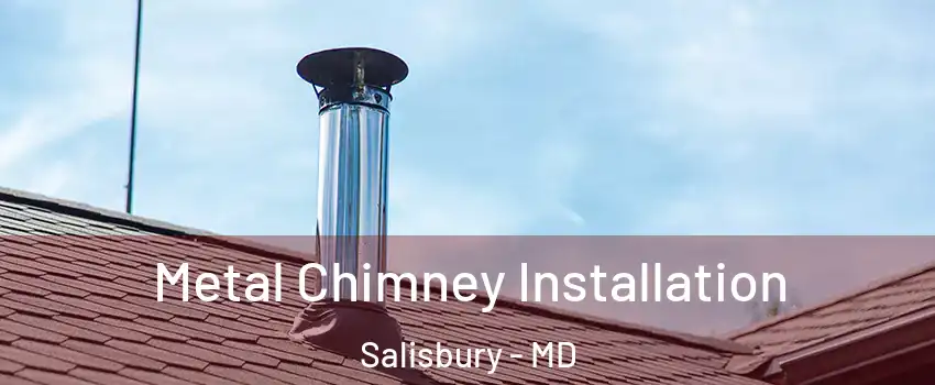  Metal Chimney Installation Salisbury - MD