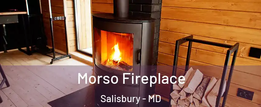  Morso Fireplace Salisbury - MD