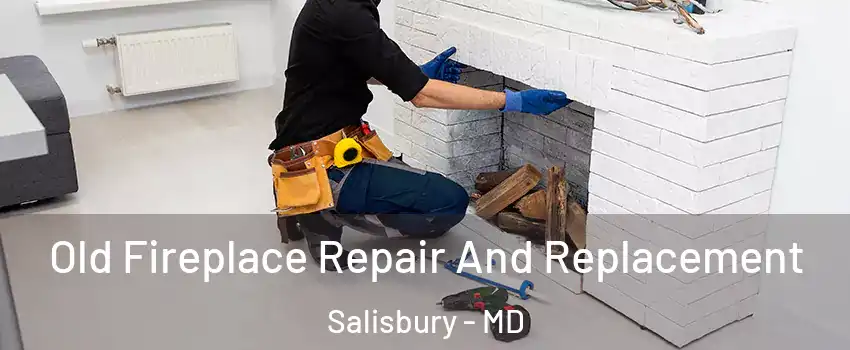 Old Fireplace Repair And Replacement Salisbury - MD