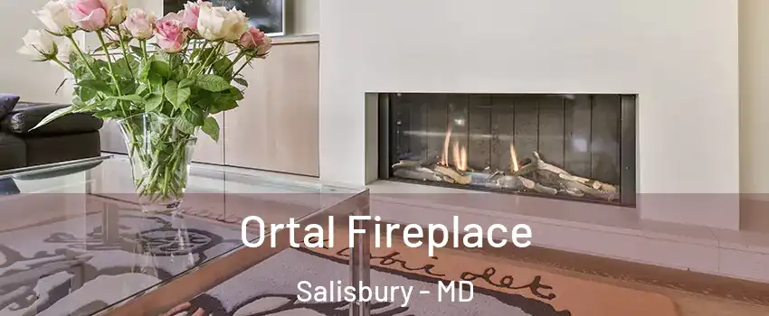 Ortal Fireplace Salisbury - MD