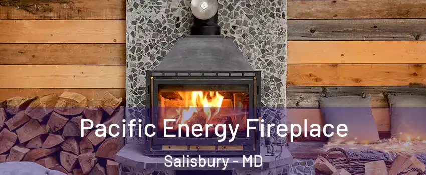  Pacific Energy Fireplace Salisbury - MD